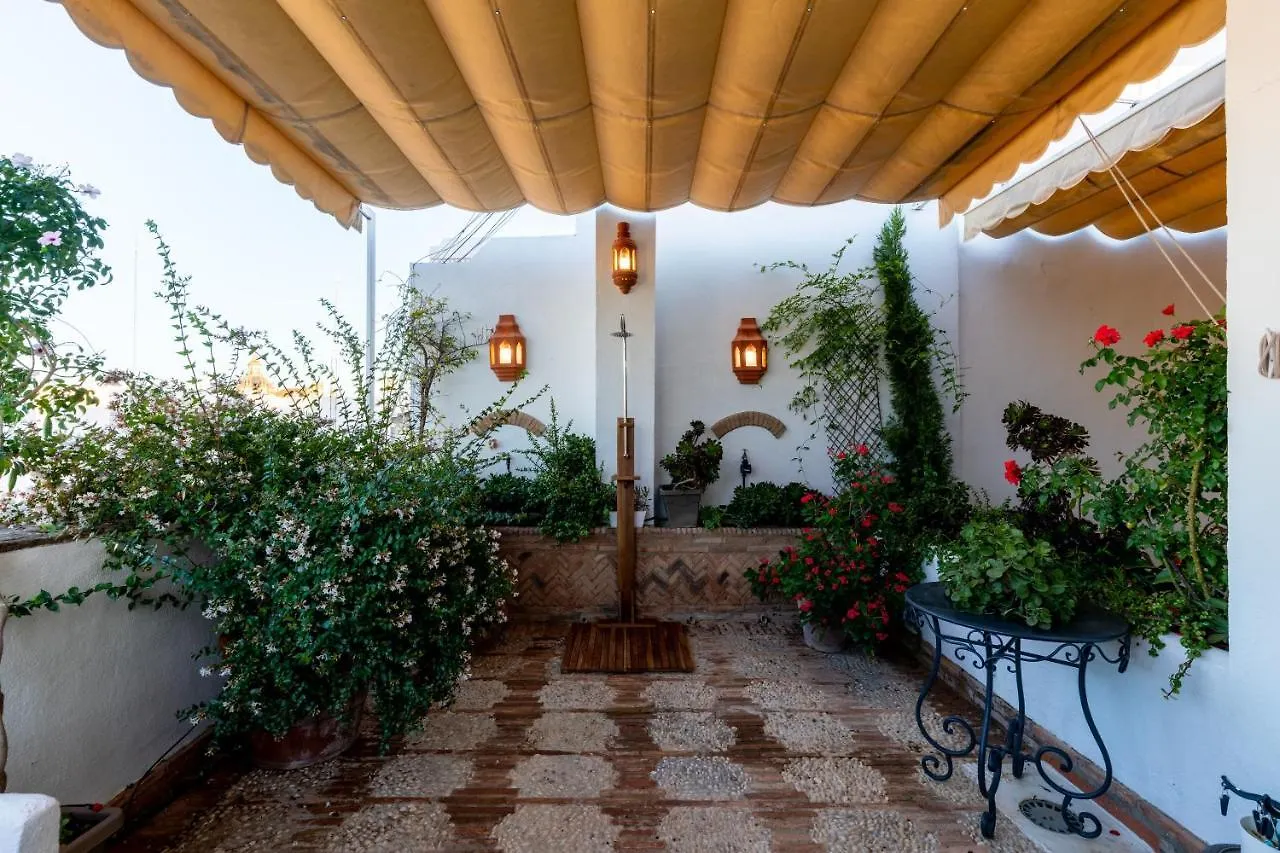 Apartment Atico Con Encanto En Sierpes Seville