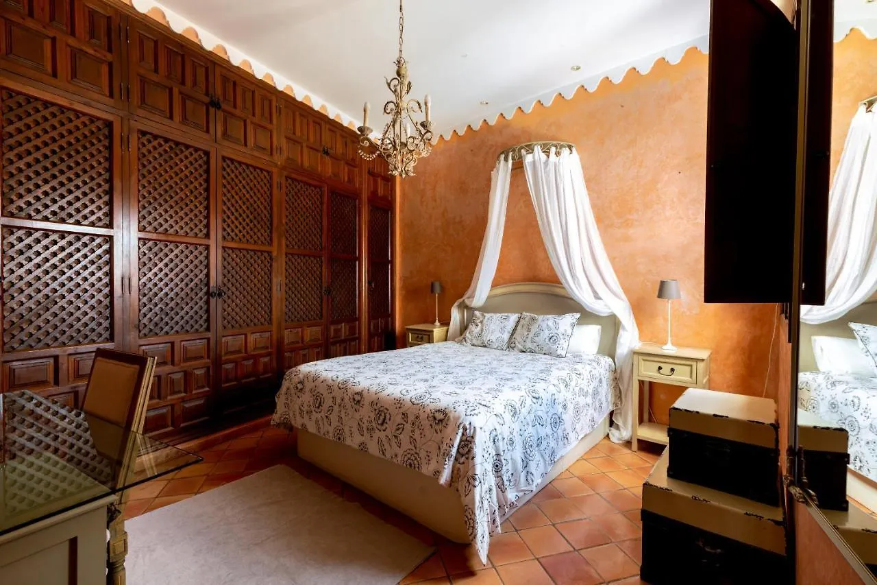 Apartment Atico Con Encanto En Sierpes Seville